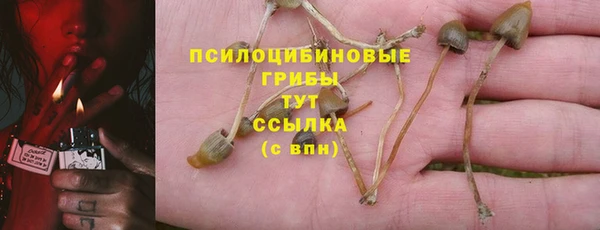 спиды Абинск