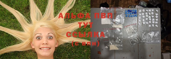 спайс Абаза